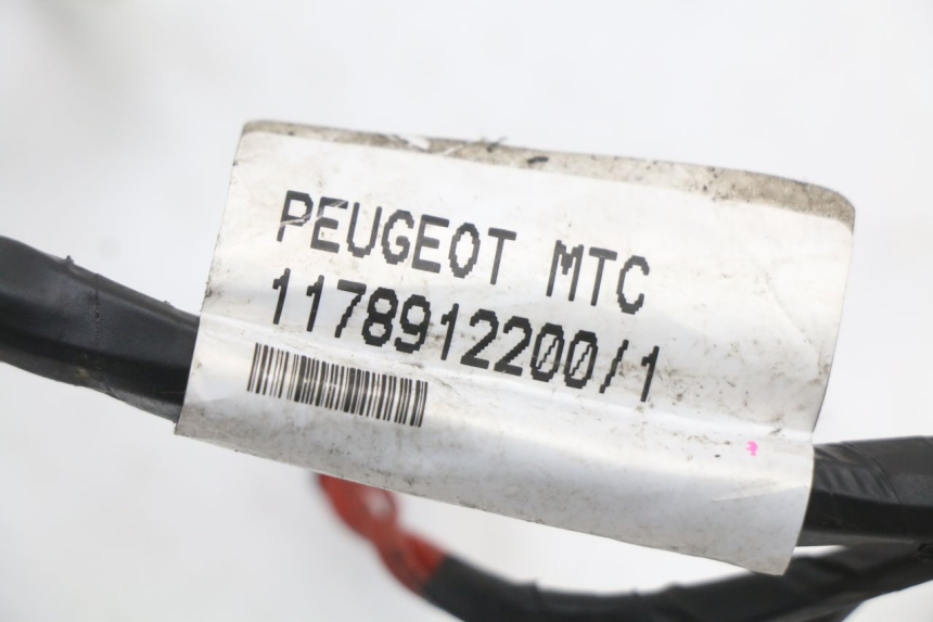 photo de WIRING HARNESS PEUGEOT CITYSTAR 50 (2013 - 2017)