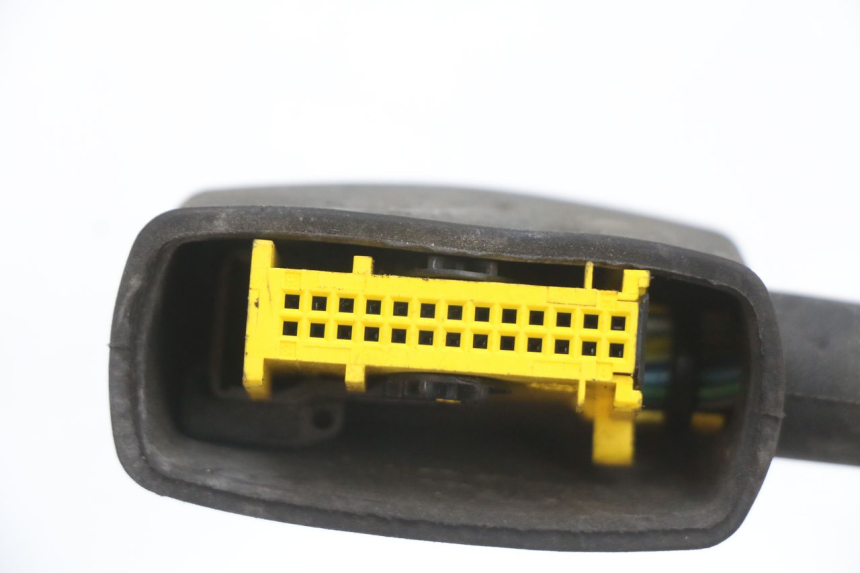 photo de WIRING HARNESS PEUGEOT CITYSTAR 50 (2013 - 2017)