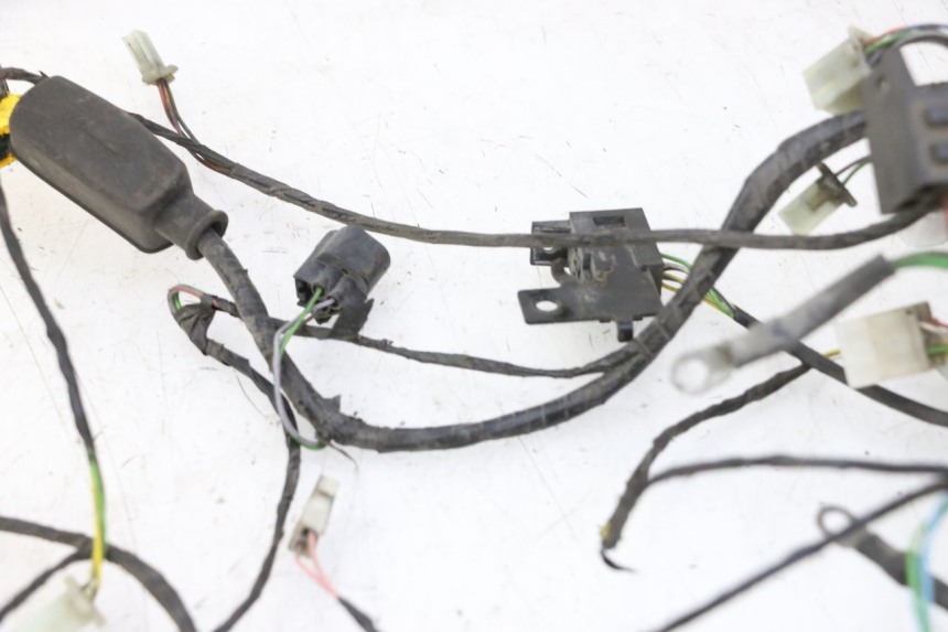 photo de WIRING HARNESS PEUGEOT CITYSTAR 50 (2013 - 2017)
