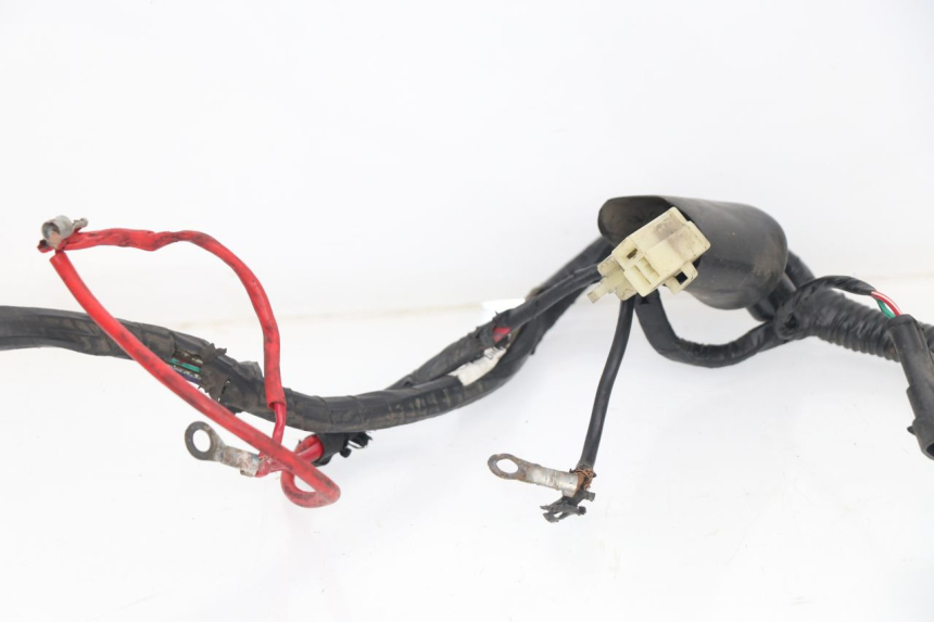 photo de WIRE HARNESS RIDE CLASSIC 125 (2014 - 2020)