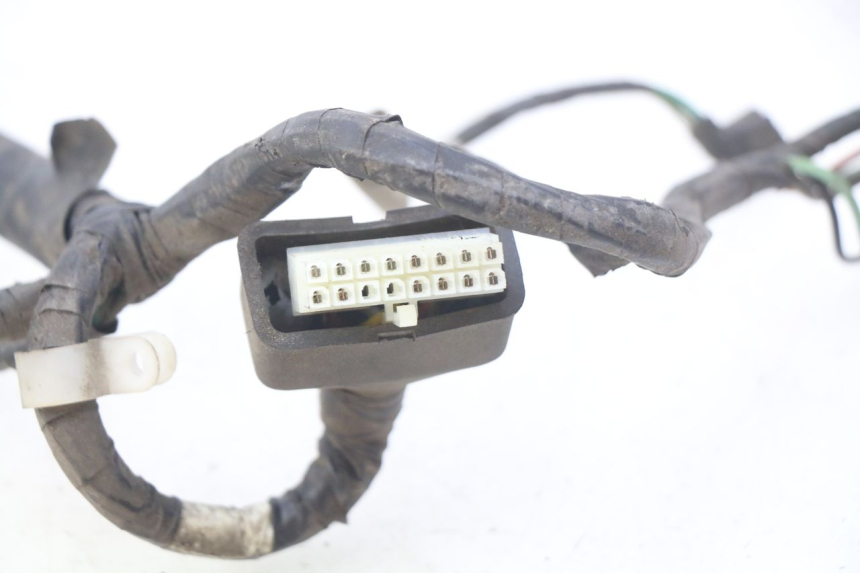 photo de INSTRUMENT CLUSTER WIRING HARNESS SYM CITYCOM CITY COM 125 (2009 - 2014)