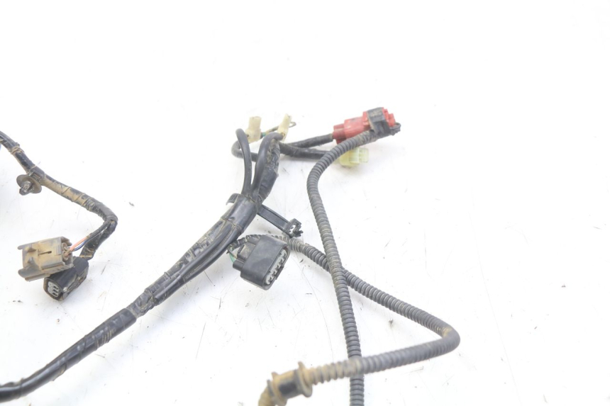 photo de WIRING HARNESS HONDA CRF 250 (2010 - 2013)