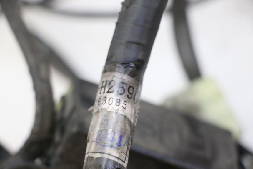 photo de WIRING HARNESS YAMAHA CYGNUS X INJECTION 125 (2007 - 2013)