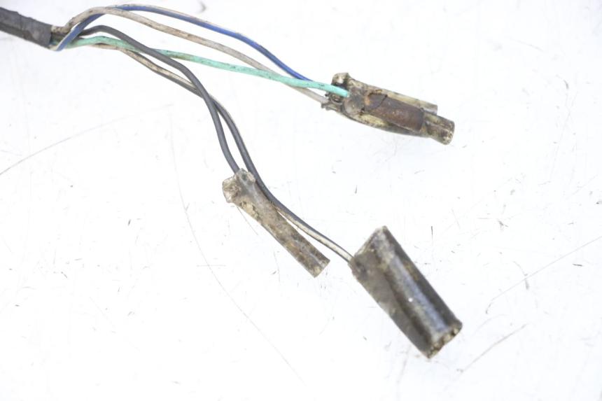 photo de WIRE HARNESS SKYTEAM DAX REPLICA 110 (2005 - 2015)