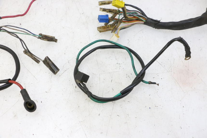 photo de WIRE HARNESS SKYTEAM DAX REPLICA 110 (2005 - 2015)