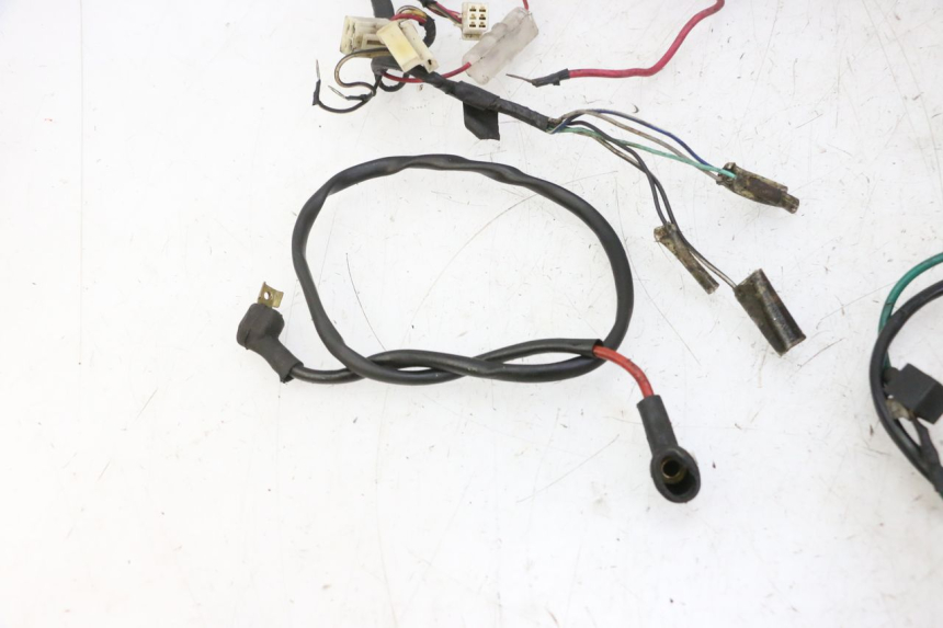photo de WIRE HARNESS SKYTEAM DAX REPLICA 110 (2005 - 2015)