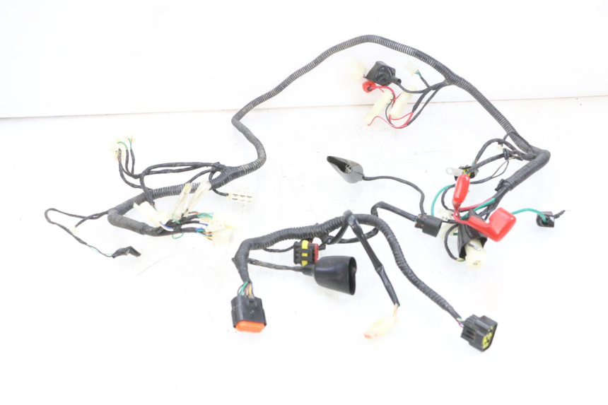photo de WIRING HARNESS LONGJIA DIGITA 4T 50 (2019 - 2022) - Main view