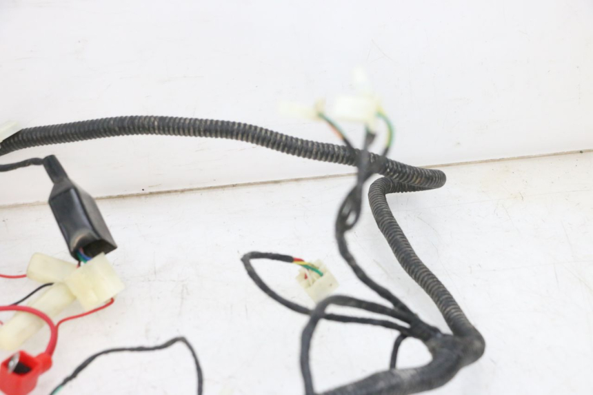 photo de WIRING HARNESS LONGJIA DIGITA 4T 50 (2019 - 2022) - Additional view of the item