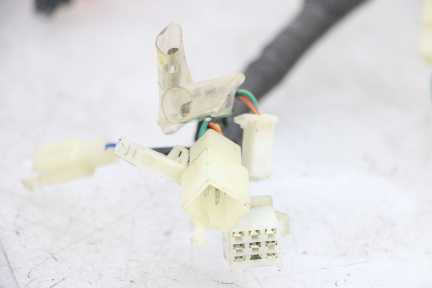 photo de WIRING HARNESS LONGJIA DIGITA 4T 50 (2019 - 2022) - Distinctive features