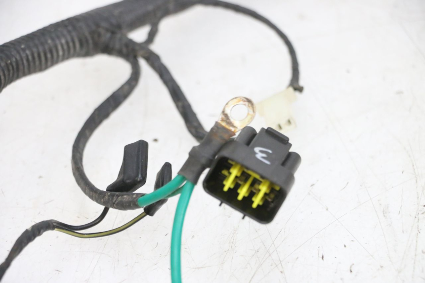 photo de WIRING HARNESS LONGJIA DIGITA 4T 50 (2019 - 2022) - High-resolution close-up