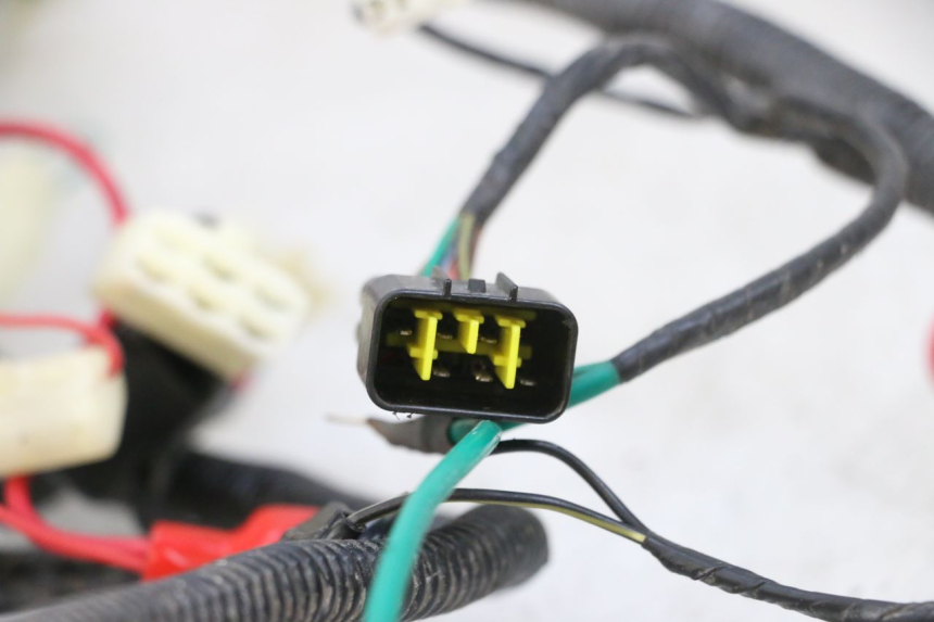 photo de WIRING HARNESS LONGJIA DIGITA 4T 50 (2019 - 2022) - Technical close-up