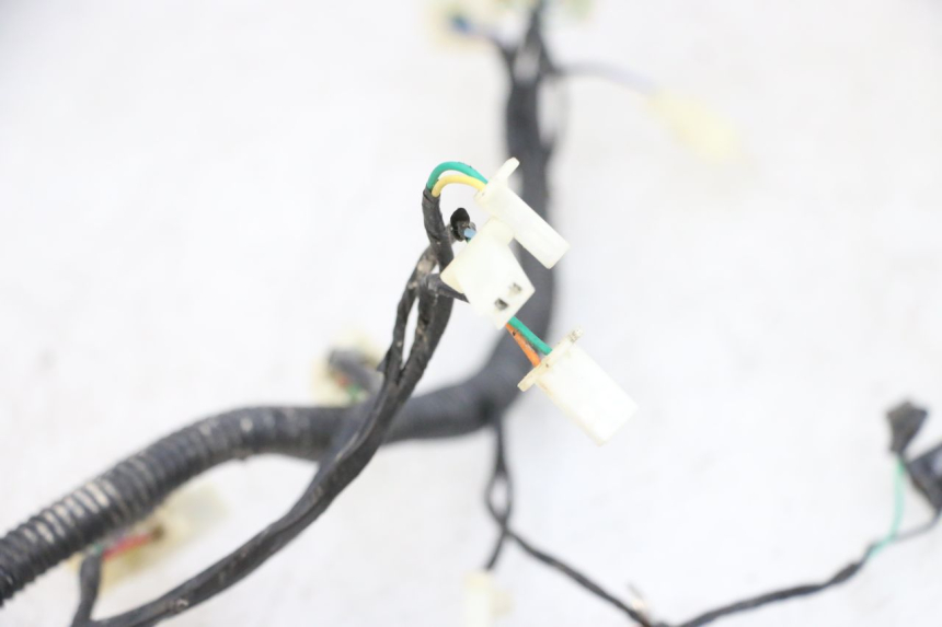 photo de WIRING HARNESS LONGJIA DIGITA 4T 50 (2019 - 2022) - Surface and material condition