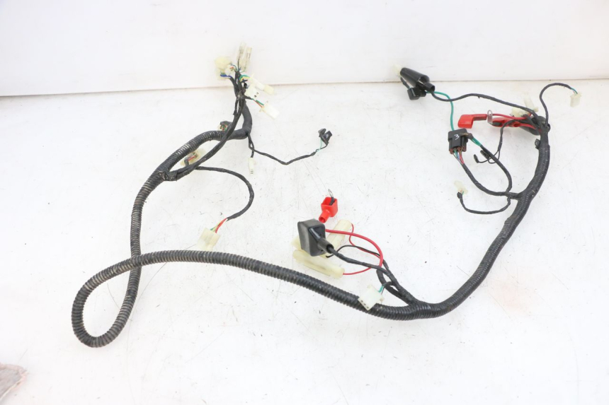 photo de WIRING HARNESS LONGJIA DIGITA 4T 50 (2019 - 2022) - Checked used part