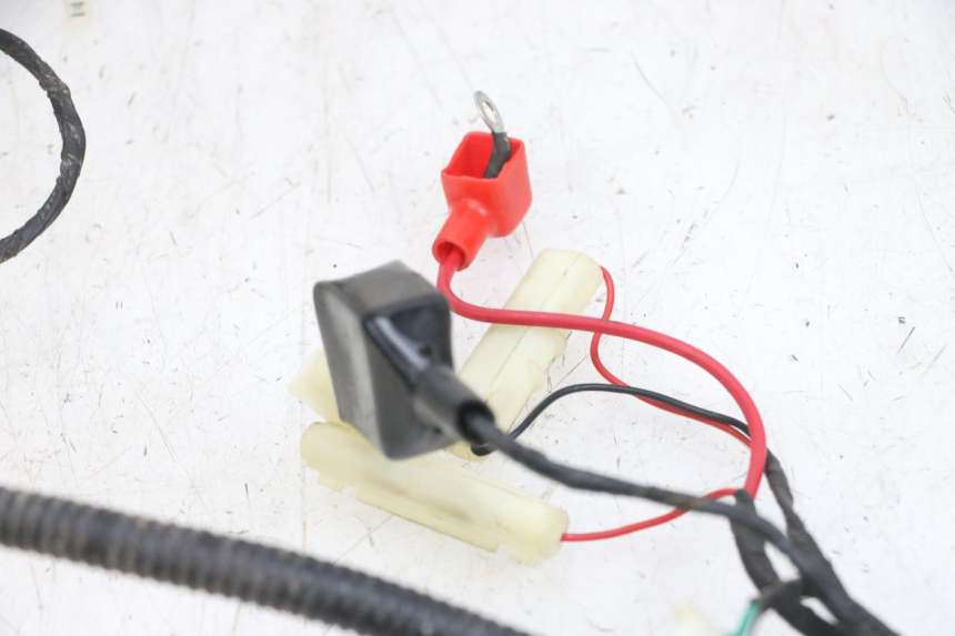 photo de WIRING HARNESS LONGJIA DIGITA 4T 50 (2019 - 2022) - Markings and original references