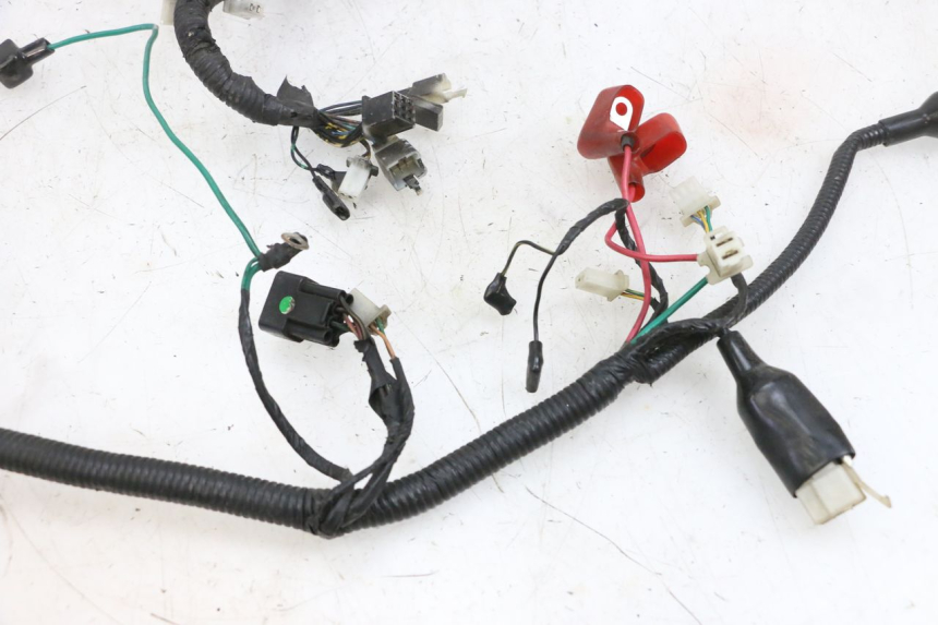 photo de WIRING HARNESS LONGJIA DIGITA 4T 50 (2019 - 2022) - Alternative perspective