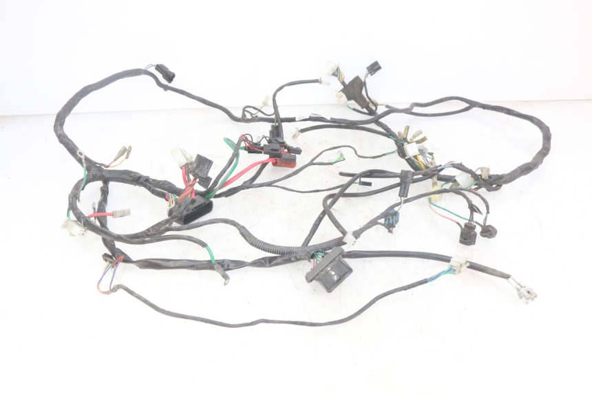 photo de WIRING HARNESS PEUGEOT DJANGO 4T 50 (2014 - 2019)