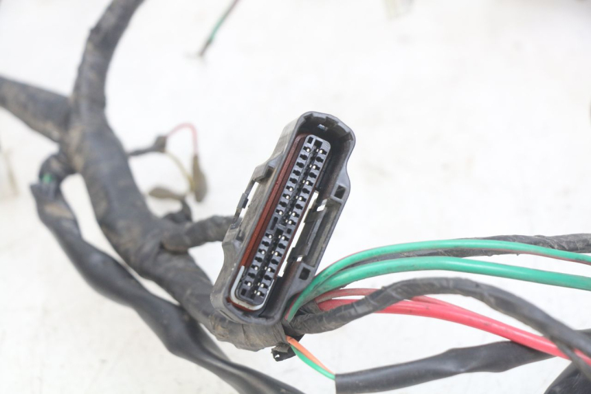 photo de WIRING HARNESS PEUGEOT DJANGO 4T 50 (2014 - 2019)