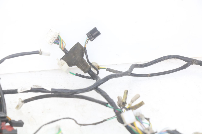 photo de WIRING HARNESS PEUGEOT DJANGO 4T 50 (2014 - 2019)
