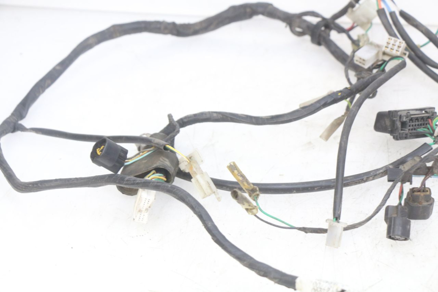 photo de WIRING HARNESS PEUGEOT DJANGO 4T 50 (2014 - 2019)