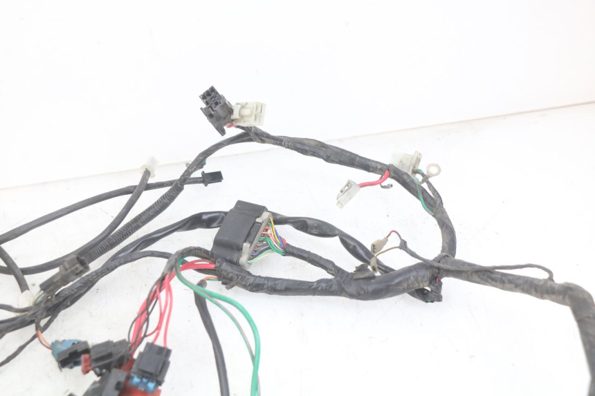 photo de WIRING HARNESS PEUGEOT DJANGO 4T 50 (2014 - 2019)