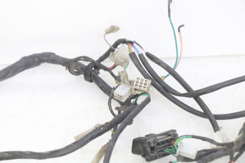 photo de WIRING HARNESS PEUGEOT DJANGO 4T 50 (2014 - 2019)