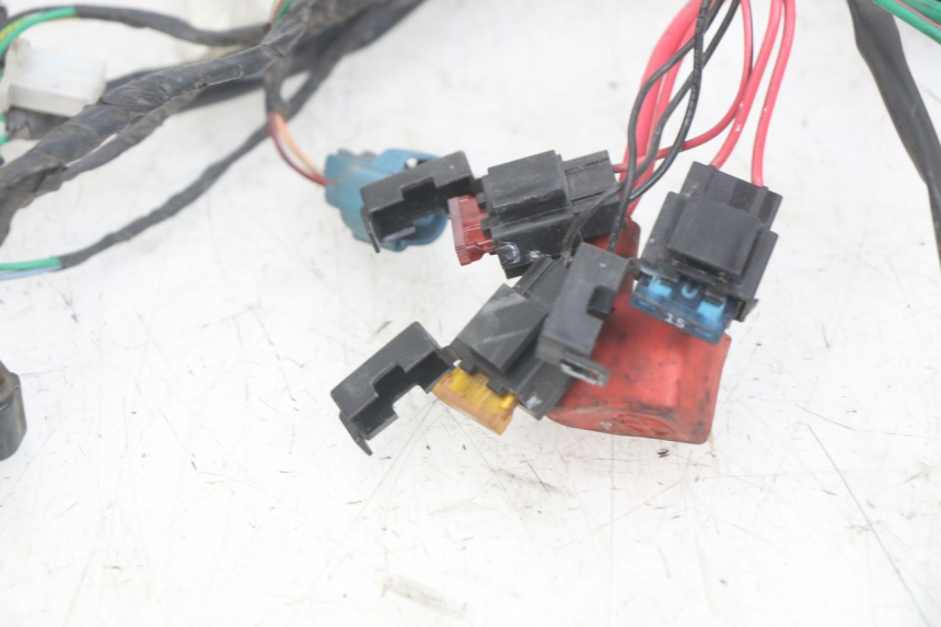 photo de WIRING HARNESS PEUGEOT DJANGO 4T 50 (2014 - 2019)