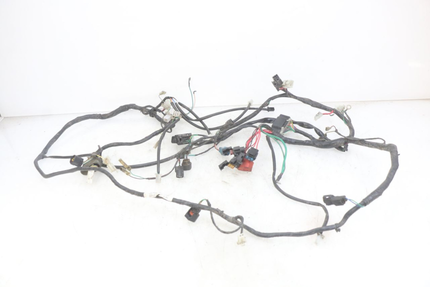 photo de WIRING HARNESS PEUGEOT DJANGO 4T 50 (2014 - 2019)