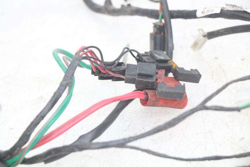 photo de WIRING HARNESS PEUGEOT DJANGO 4T 50 (2014 - 2019)