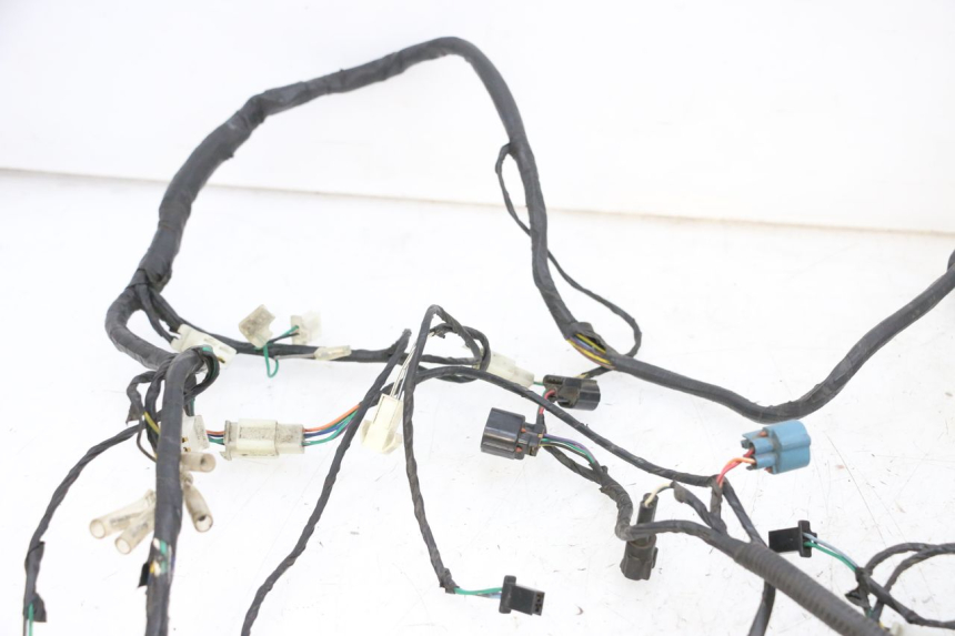 photo de WIRING HARNESS PEUGEOT DJANGO 4T 50 (2014 - 2019) - Distinctive features