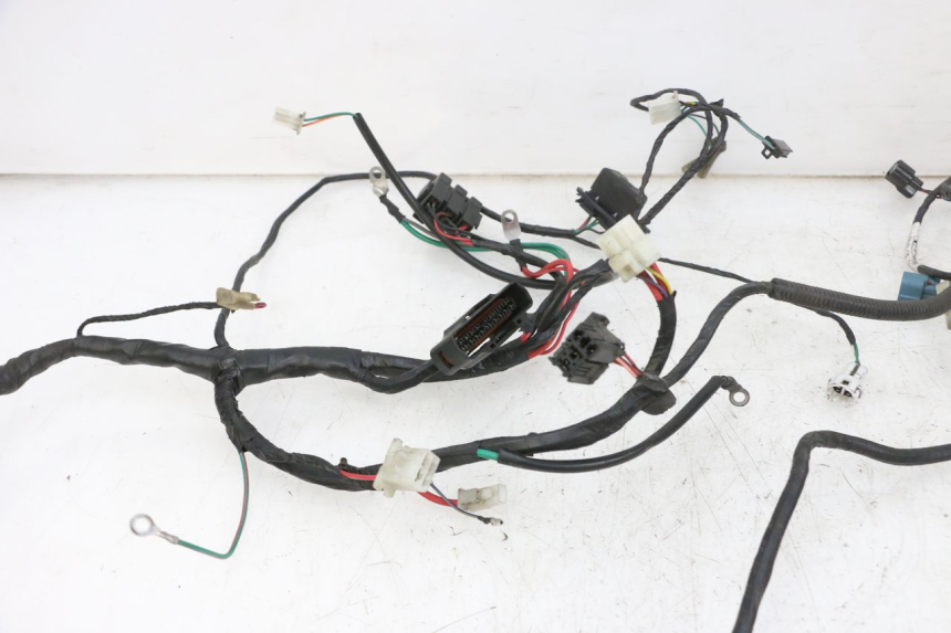 photo de WIRING HARNESS PEUGEOT DJANGO 4T 50 (2014 - 2019) - Fixing points details