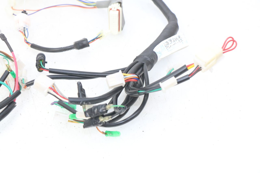 photo de WIRING HARNESS EFUN E2GO 1 (2017 - 2021)