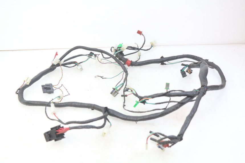 photo de WIRING HARNESS ECCITY ARTELEC 670 1 (2013 - 2017)