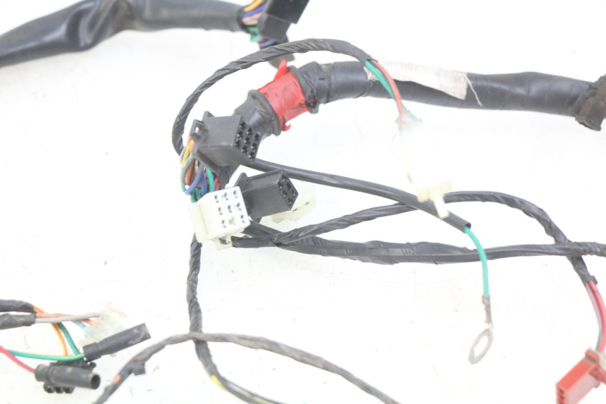 photo de WIRING HARNESS ECCITY ARTELEC 670 1 (2013 - 2017)