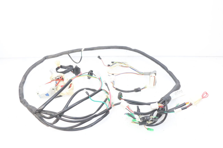 photo de WIRING HARNESS EFUN E2GO 1 (2017 - 2021)