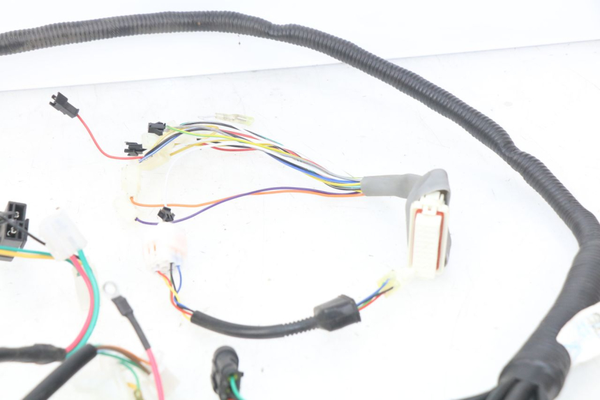 photo de WIRING HARNESS EFUN E2GO 1 (2017 - 2021)