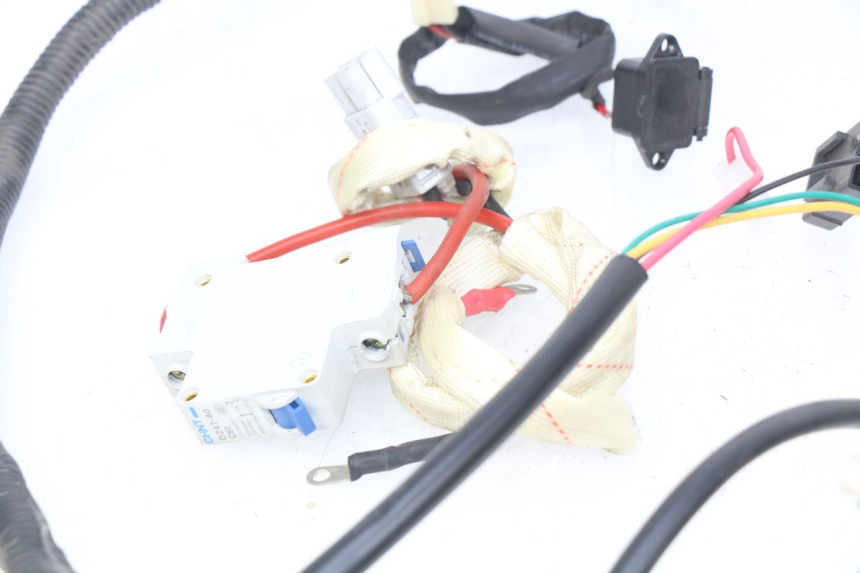 photo de WIRING HARNESS EFUN E2GO 1 (2017 - 2021)