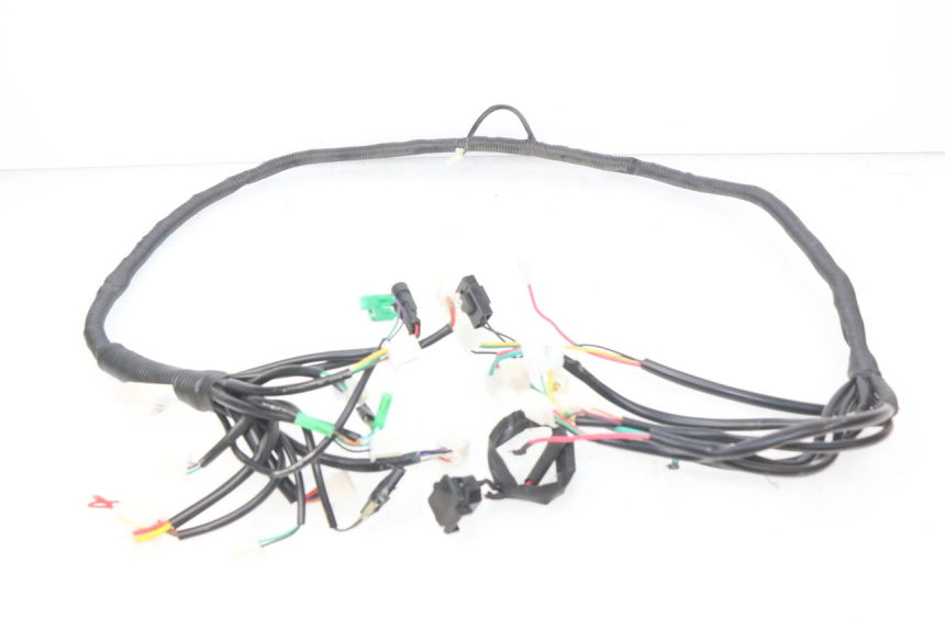 photo de WIRING HARNESS EFUN E2GO 1 (2017 - 2021)