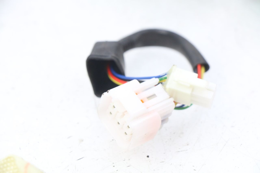 photo de WIRING HARNESS EFUN E2GO 1 (2017 - 2021)