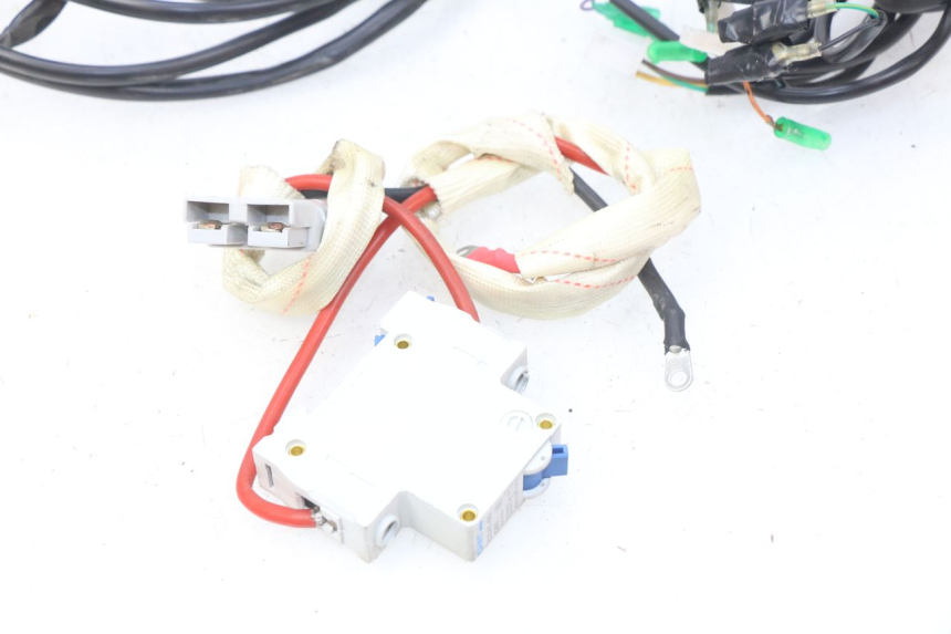 photo de WIRING HARNESS EFUN E2GO 1 (2017 - 2021)