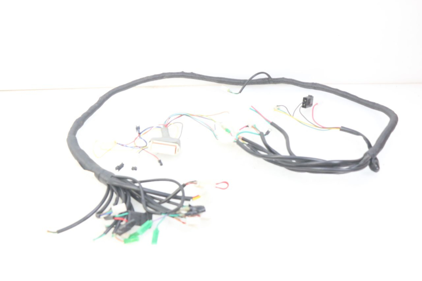 photo de WIRING HARNESS EFUN E2GO 1 (2017 - 2021)