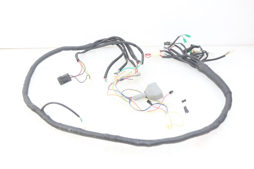 photo de WIRING HARNESS EFUN E2GO 1 (2017 - 2021)