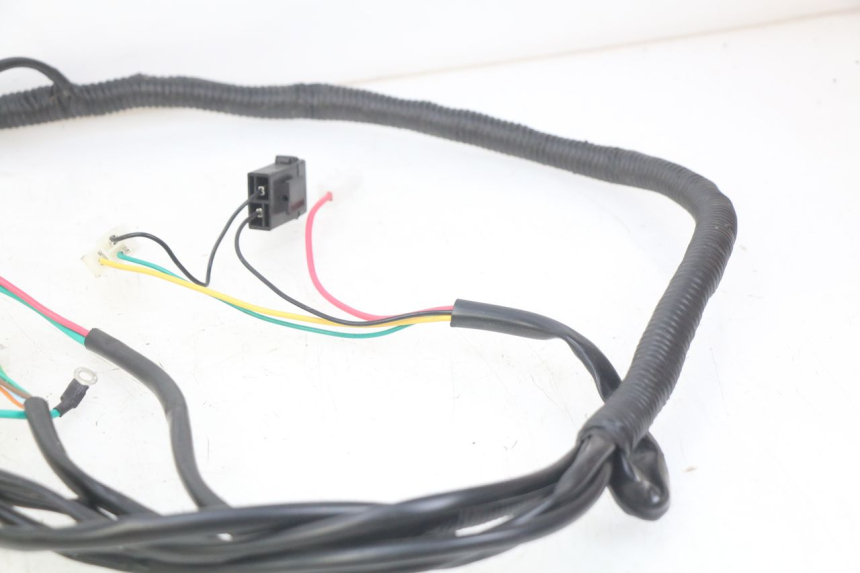 photo de WIRING HARNESS EFUN E2GO 1 (2017 - 2021)