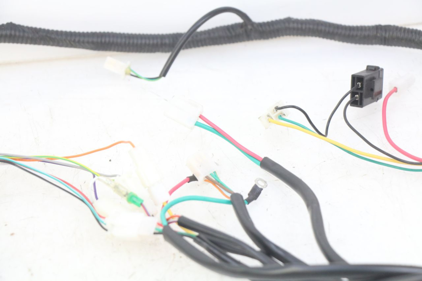 photo de WIRING HARNESS EFUN E2GO 1 (2017 - 2021)