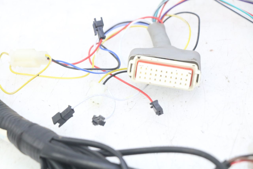 photo de WIRING HARNESS EFUN E2GO 1 (2017 - 2021)