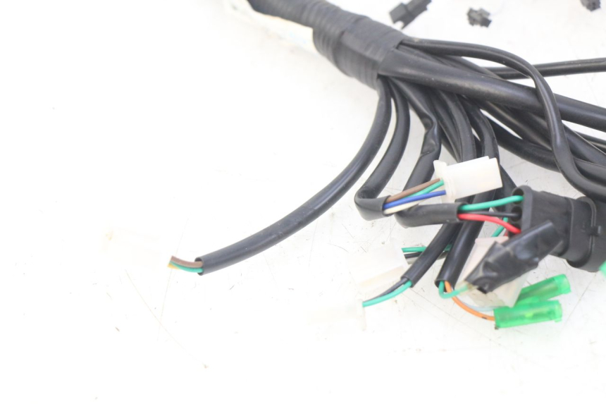 photo de WIRING HARNESS EFUN E2GO 1 (2017 - 2021)