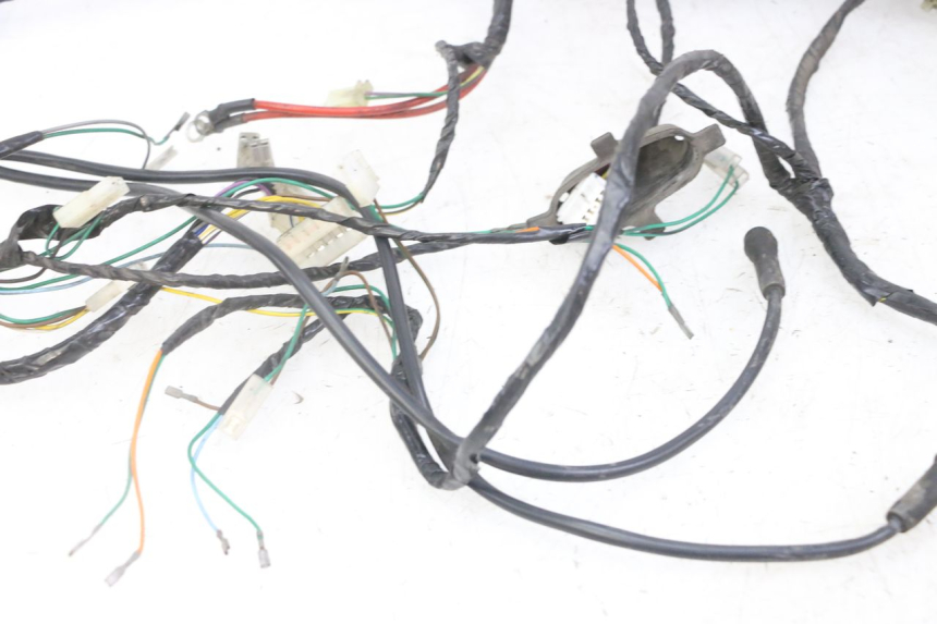 photo de WIRE HARNESS PEUGEOT ELYSEO 125 (1999 - 2004)