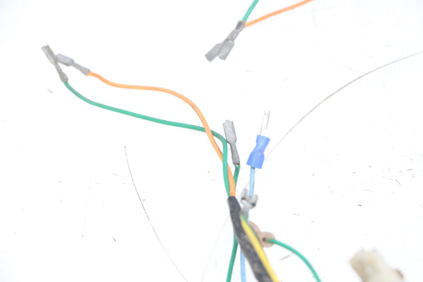 photo de WIRE HARNESS PEUGEOT ELYSEO 125 (1999 - 2004) - Distinctive features