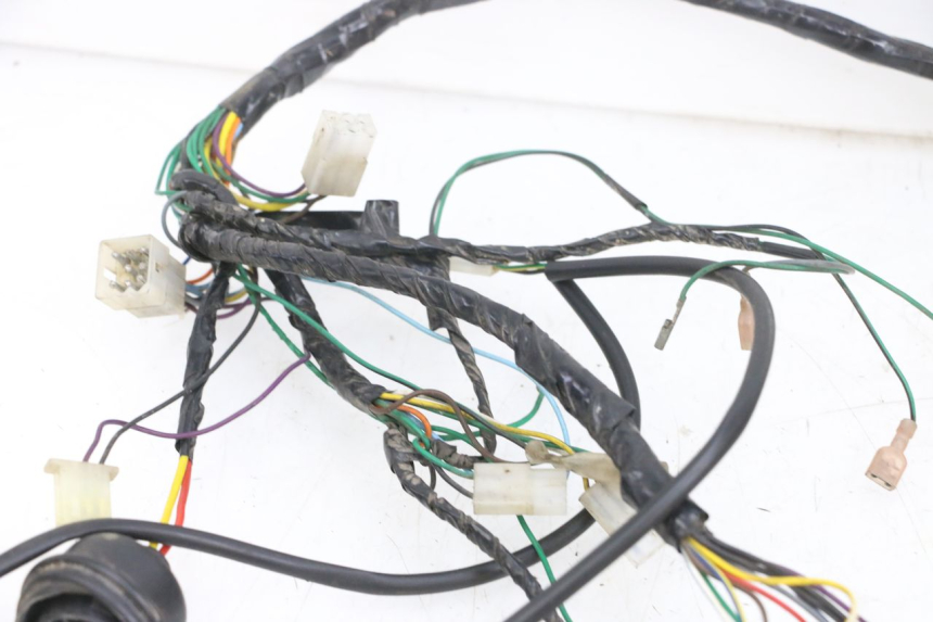 photo de WIRE HARNESS PEUGEOT ELYSEO 125 (1999 - 2004) - Supplementary product photo