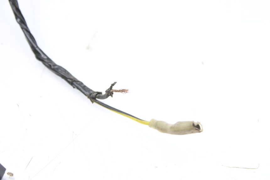 photo de WIRING HARNESS JM MOTORS EVOLIS 4T 50 (2018 - 2022)