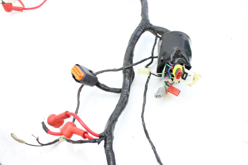photo de WIRING HARNESS JM MOTORS EVOLIS 4T 50 (2018 - 2022)